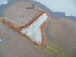 �G�|�L�V �v���Z�{ �f�b�L 6